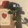 雪晴 - 美人吟 (DJ火山版)