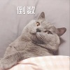 佑儿 - 单车 (DJ经典版)