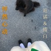 诡谲、情白 - Boom Boom Boom Boom (最硬版本)