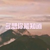 呆妹儿、小可 - 桃源 (DJ舞曲版)