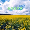 明兴 - 情系塞罕坝