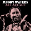 Muddy Waters - I'm Ready