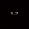 大龙小龙DLXL - K.O
