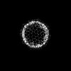 COVID-19 - Pandemic