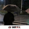 马泽龙Remix - The Bullet_Flies (DJ版)