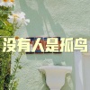 呆妹儿、小可 - 红唇 (慢摇舞曲版)