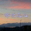 呆妹儿、小可 - 命运的要求 (车载DJ版)