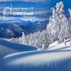 Patrick Poe - Christmas Lights