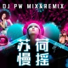 DJ PW - Because I Love You【天籁飘渺FUNK酒吧慢摇版】dj_pw_mix