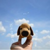 文木水 - 还不是因为你长得不好看