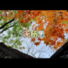 诵功 - 我可以抱你吗 (王者版)