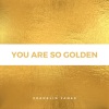 Franklin James《You Are So Golden》[MP3/LRC]