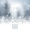 Plastic - 雪花