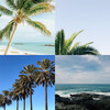 Tropical Christmas Moments - (Auld Lang Syne) Tropical Christmas