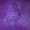 Random Classes - Look Around (Original Mix)
