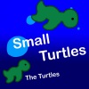 The Turtles - Echo