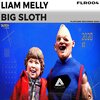Liam Melly - Big Sloth (RadioMix)