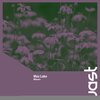 Max Lake - Mirrors