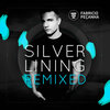Fabricio Pecanha - Plastic Fantastic (Robert Babicz Remix)