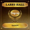 Larry Hall《Sandy》[MP3/LRC]