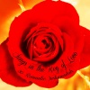 The Heartbreak Love Instrumentalists - Youre the One I Love (Instrumental)