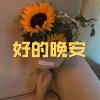 呆妹儿、小可 - 请先说你好 (车载DJ版)