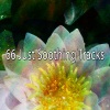Buddhist Chi Meditation - Nourish Calm