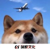嗨少 - 燕无歇 (DJ嗨少)