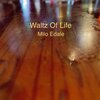 Milo Edale - Strings of Life
