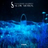 Gracie Van Brunt、FSJ - Slow Motion