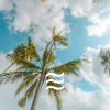 不错的粉红声音 - 静止的噪音