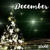 Vivit - December
