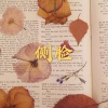 小夕兮、小可 - 赤岭