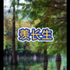 皮皮 - 面对面 (飙升DJ版)
