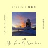 罗艺恒《You Are My Sunshine》[MP3/LRC]