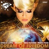 Nina Flowers、Binomio、Esteban Lopez、Pedro Pons《Dream Of Freedom (Original Mix)》[MP3/LRC]