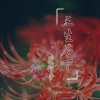DJ阿奇 - 最经典咚咚咚