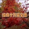 阿文 - 忘记时间 (暖暖版)