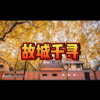 奈尔 - 走着走着就散了 (多多版)