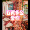 小山 - 哎呀呀 (牵挂版)