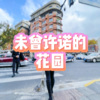 小山 - 无心斗艳 (牵挂版)