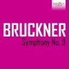 Heinz Rögner、Rundfunk-Sinfonie Orchester Berlin - I. Feierlich, misterioso (1)
