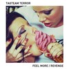 Tagteam Terror - Feel More (Original Mix)