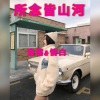 情白、诡谲 - Toxic (Remix)