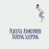 Deep Sleep Universe、Restful Sleep Music Consort、Relaxing Evening Music Universe - Tranquil Night in Paradise