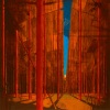 Martin Kohlstedt - LUN