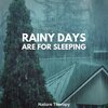 Nature Therapy - Steady Rain on the Porch