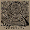 Luke Sital-Singh - Nothing Stays the Same