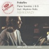 Vladimir Ashkenazy - 1. Allegro inquieto