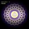 mumbai science《Pulse (Original Mix)》[MP3/LRC]